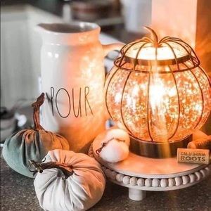 NWT—Enchanted Pumpkin Warmer